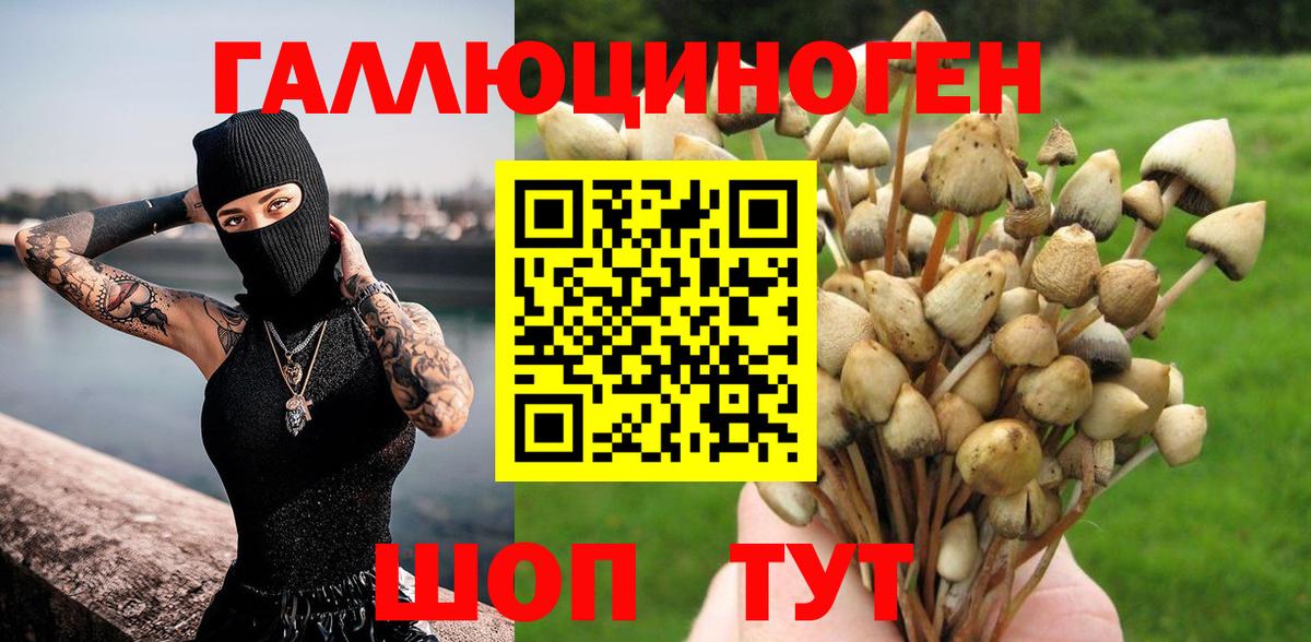 Псилоцибиновые грибы прущие грибы  Вход с VPN  Дивногорск 